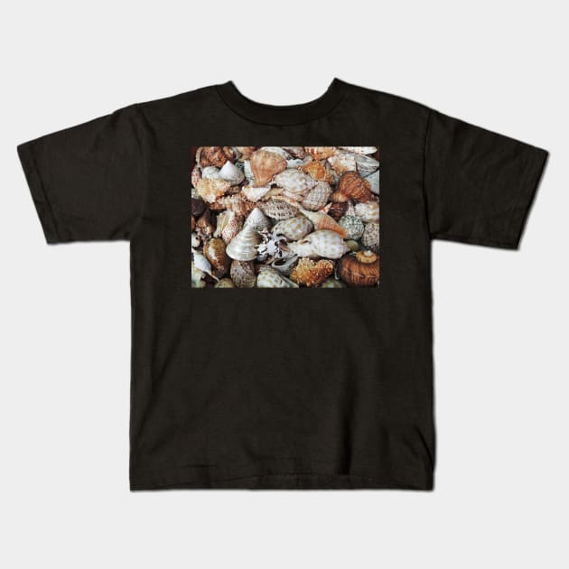 Sea Shells Kids T-Shirt by AlexaZari